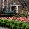 spring aught 6