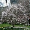 spring