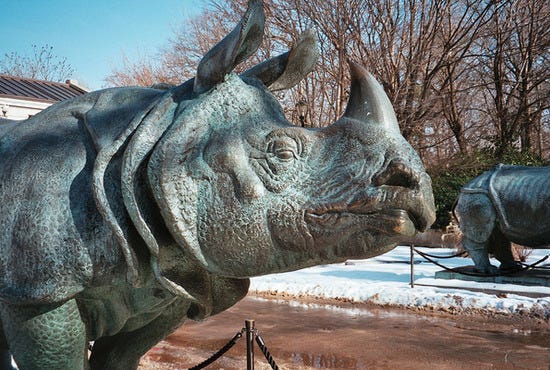Bronze Rhino