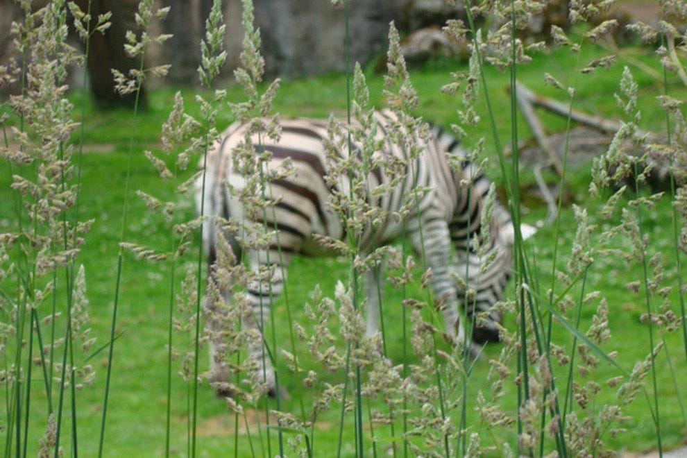 Oregon Zoo Portland Attractions Review 10Best Experts and Tourist