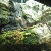 John G. Shedd Aquarium