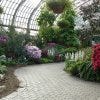Conservatory Path
