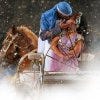 Arabian Nights makes for some of the best nightlife in Orlando, FL