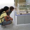 Miami Science Museum is one of the best things to do in Miami, FL