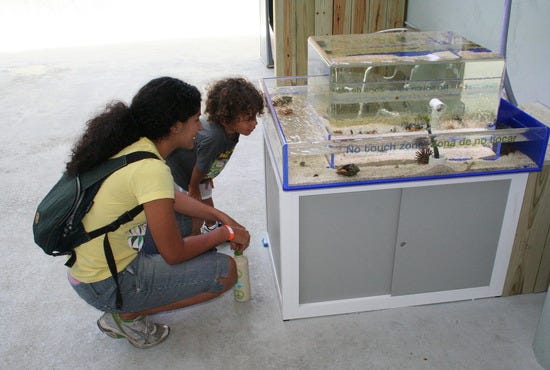 Miami Science Museum is one of the best things to do in Miami, FL