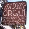 Madam's Organ sign