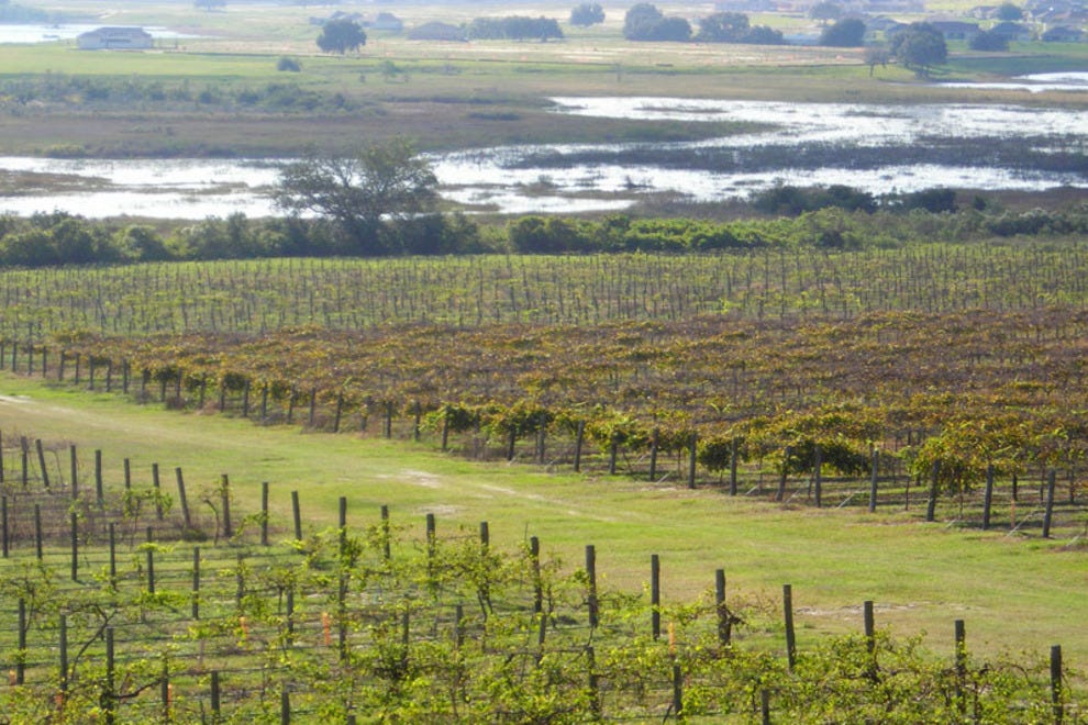 Lakeridge Winery & Vineyards Orlando Attractions Review 10Best