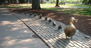 Neighborhood Spotlight: Back Bay