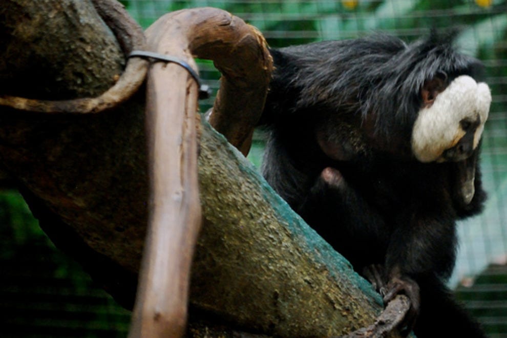 Pittsburgh Zoo & PPG Aquarium Pittsburgh Attractions Review 10Best