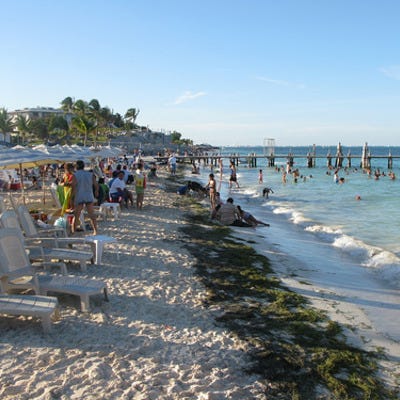 Playa Tortugas is one of the best things to do in Cancun, Mexico