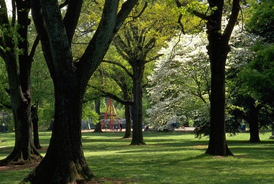 Under the Oaks at Piedmont Park. Photo courtesy of Atlanta CVB