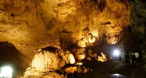 Camuy