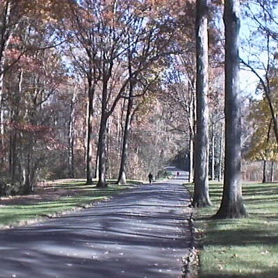 Lullwater