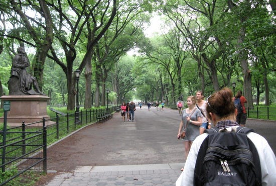 Park7