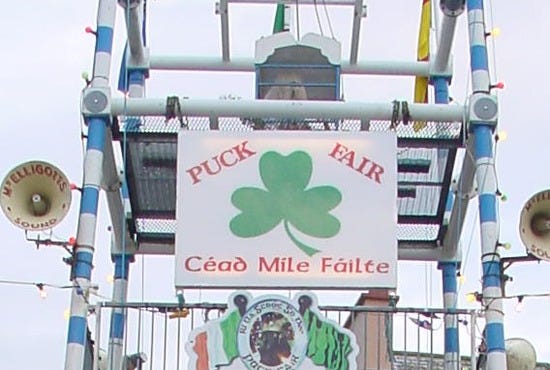 PuckFairStand