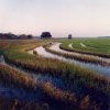 Catahoula_Rice-Resized-_Color