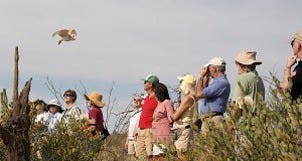 Neighborhood Spotlight: West Tucson