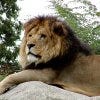 franklin_park_zoo