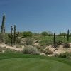 desert-forest-no-5