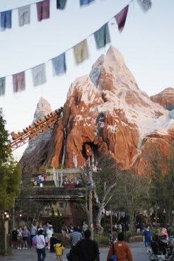 Animal Kingdom_Expedition Everest2_medium.jpg
