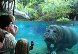 San Diego Zoo
