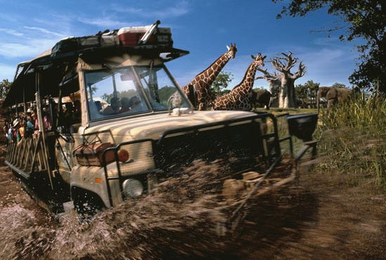 Disney's Animal Kingdom&Acirc;&reg; Theme Park