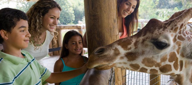 Best Zoos