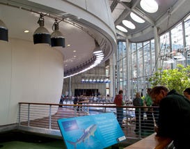 California Academy of Sciences, San Francisco
