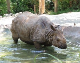 Cincinnati Zoo
