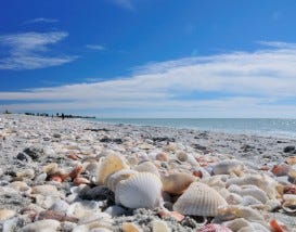 Sanibel Island, FL