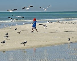 Siesta Key, FL