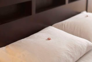 Hotels