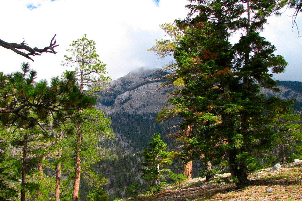 10Best Day Trip Check Out Lee Canyon