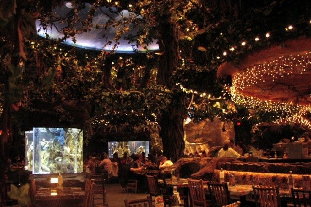 Rainforest Cafe Orlando Restaurants Review 10Best Experts and