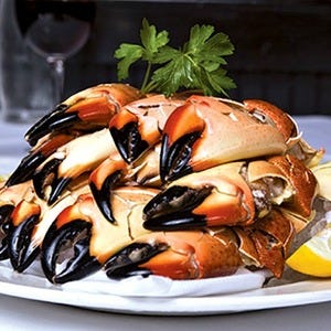San Diego Seafood Restaurants 10Best Restaurant Reviews San Diego Seafood Restaurants 10Best Restaurant Reviews
