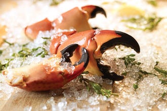 Fresh from the Gulf, Houston delivers some of the freshest seafood in Texas!