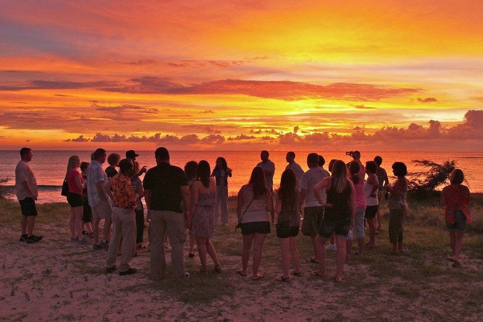 Kukoo Kunuku Party Bus Aruba Nightlife Review 10Best Experts and