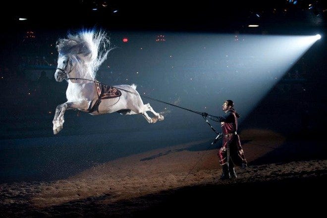 Medieval Times (@MedievalTimes) / X