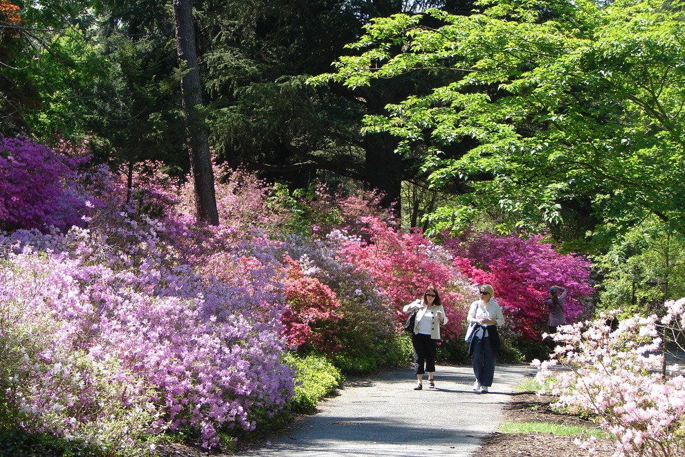 10 Best Public Gardens in the US