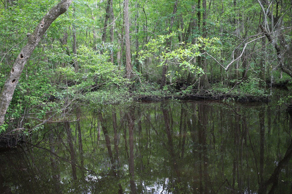 Ogeechee Canal And Museum Savannah Attractions Review 10best