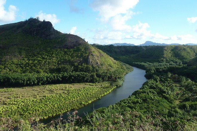 Outfitters Kauai Wailua River Tour