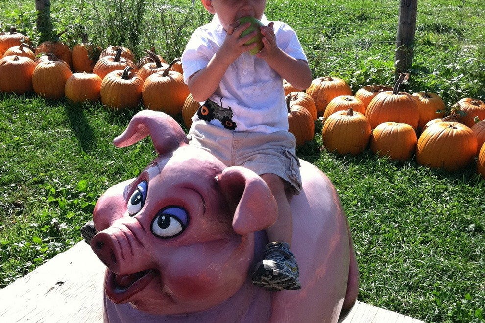 Belkin Family Lookout Farm Boston Attractions Review 10Best Experts