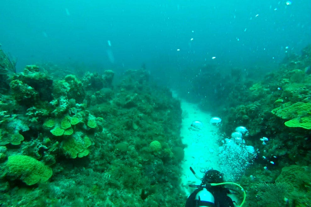 What to Expect When Scuba Diving in Jamaica