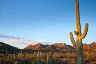 10 Best Sightseeing Spots in Tucson: Don't Miss These One-of-a-Kind Destinations