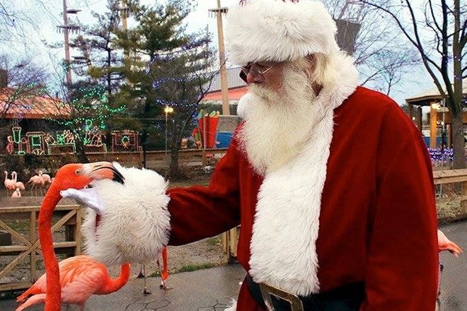 Christmas at the Zoo is one of the very best things to do in Indianapolis