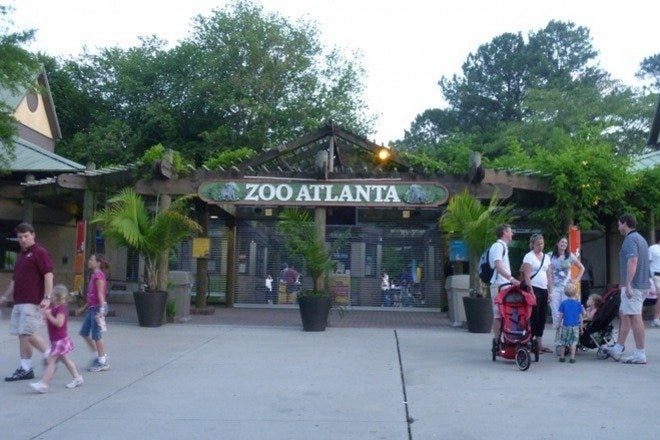 Zoo Atlanta is one of the very best things to do in Atlanta