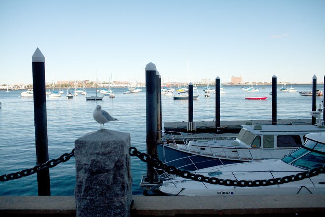 A Bed and Breakfast Afloat