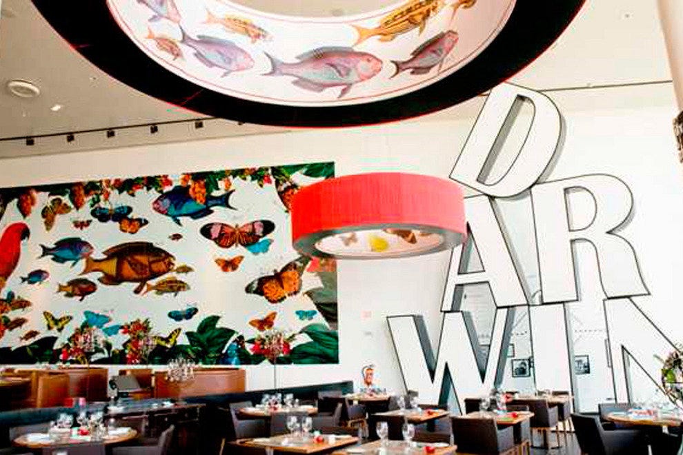 Darwin's Cafe Lisbon Restaurants Review 10Best Experts and Tourist