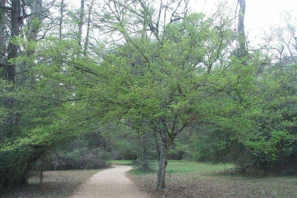 Houston Arboretum & Nature Center Houston Attractions Review 10Best