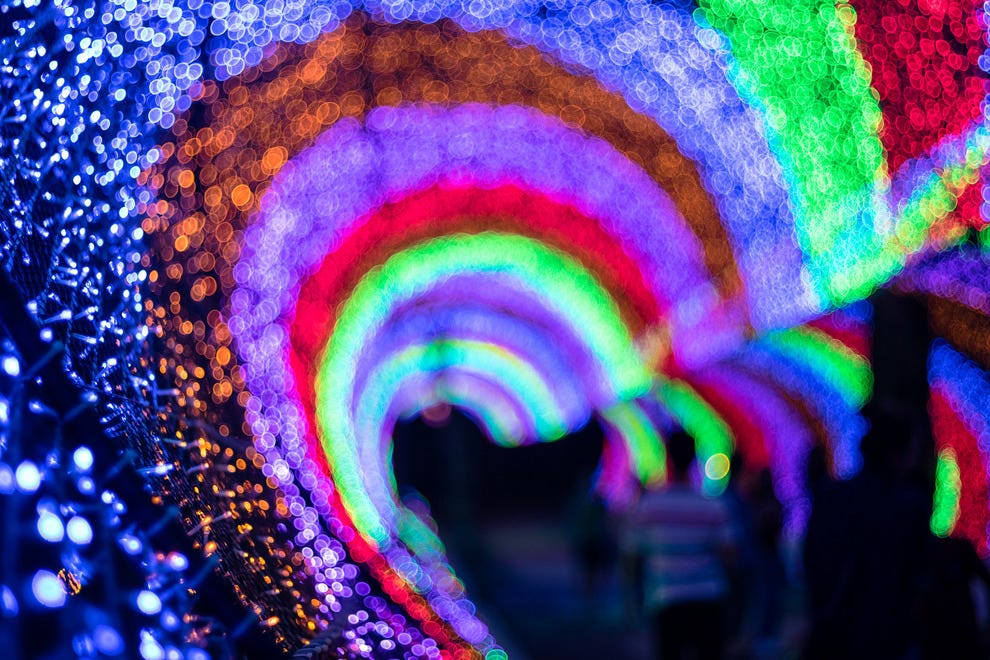 Best Zoo Lights Winners 2016 10Best Readers' Choice Travel Awards